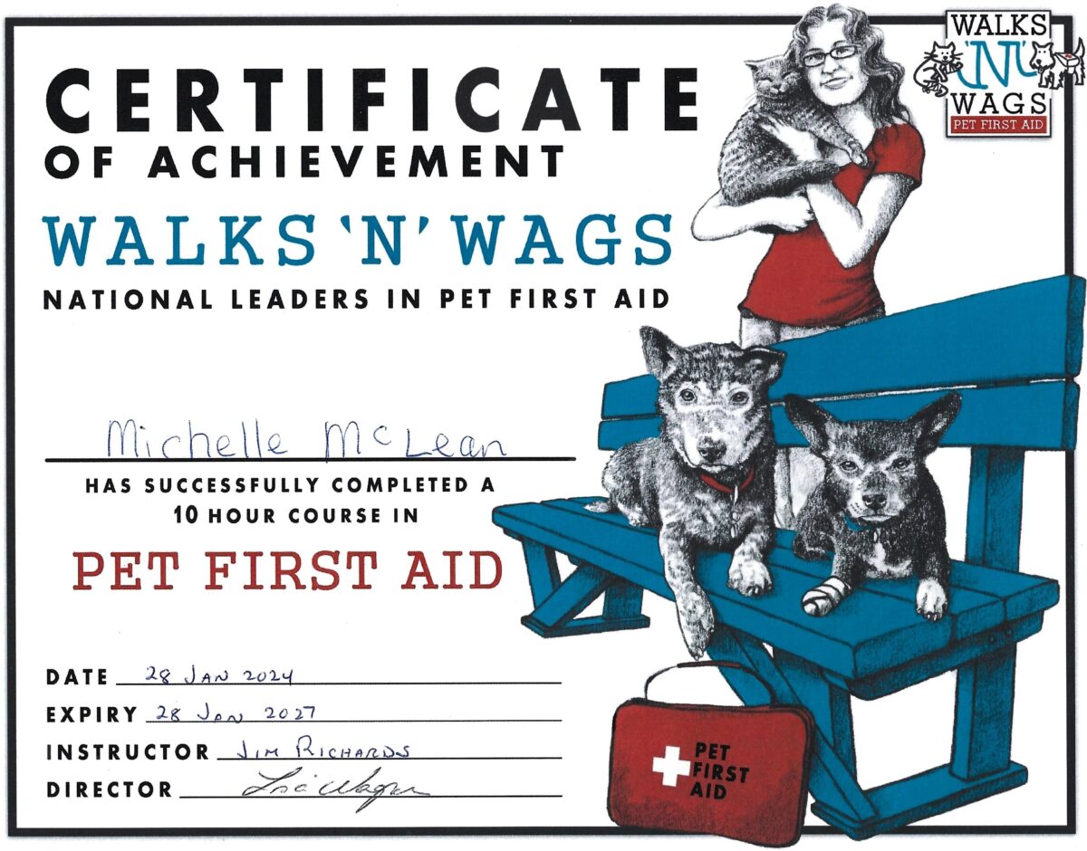 Walks N' Wags Pet First Aid January 2024