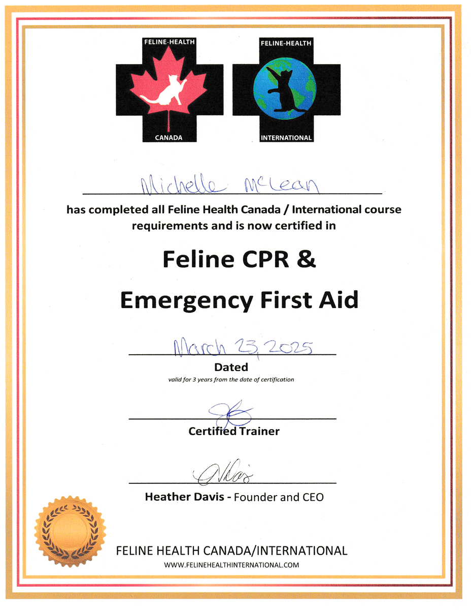 Feline CPR & Emergency First Aid Feline CPR & Emergency First Aid